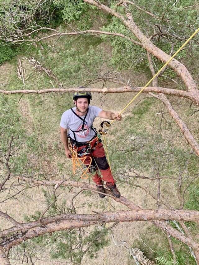 IMG_2620 Entrepreneur élagage Perigord