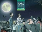 Quand la nuit bruit de vie