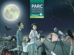 Quand la nuit bruit de vie