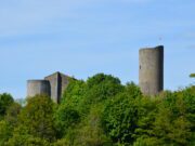 Petite reine près d’un grand roi