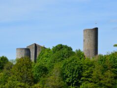 Petite reine près d’un grand roi