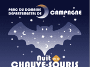 Toute la lumière sur les reines de l’ombre