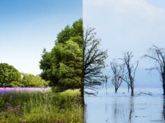 Une approche apaisée et nouvelle des questions climatiques