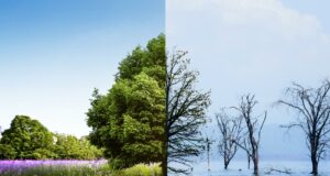 Une approche apaisée et nouvelle des questions climatiques