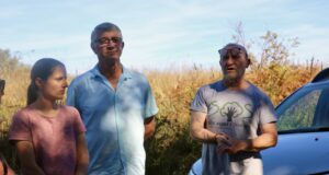 Le bois de l’Espèr, à Jaure : un îlot de biodiversité unique en Dordogne Biodiversité forêts arbres Périgord