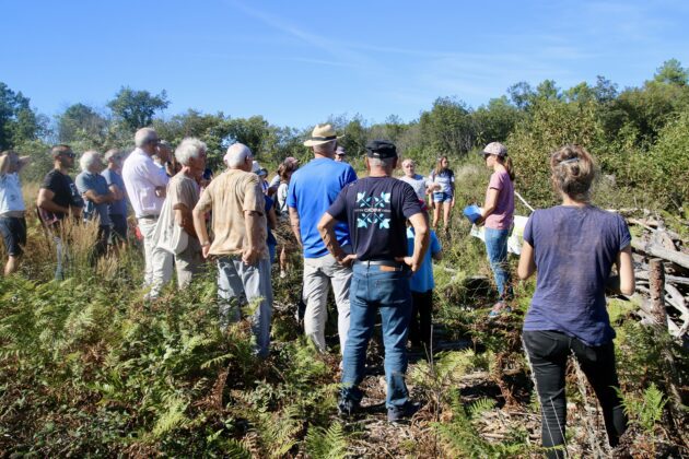 Biodiversité forêts arbres Périgord