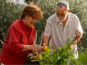 « Mes nouveaux voisins », un concept : aider les nouveaux arrivants à se sentir Périgourdins
