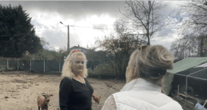 Bientraitance animale : appel à la générosité