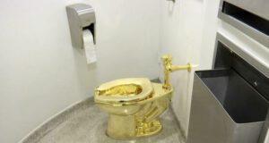 19 novembre, journée internationale des toilettes