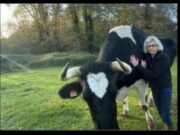 Mudita Sanctuary, un havre de paix et d’amour pour les animaux sans foyer