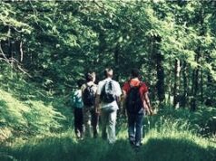 Une future résidence de créateurs de métiers d’art dans le Parc naturel Périgord Limousin
