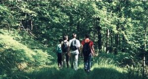 Une future résidence de créateurs de métiers d’art dans le Parc naturel Périgord Limousin