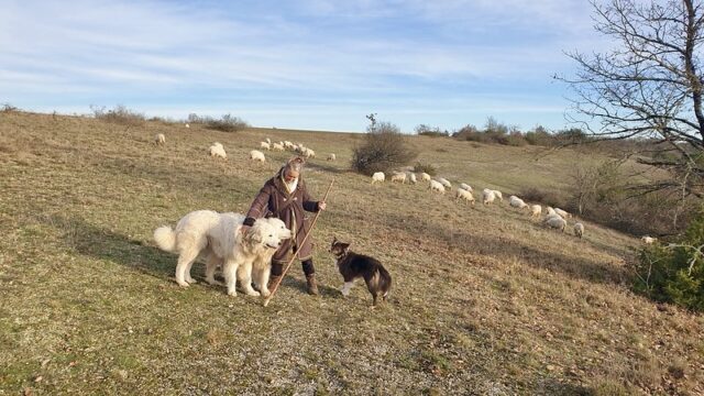 Éco-pâturage Biodiversité Nature Balade