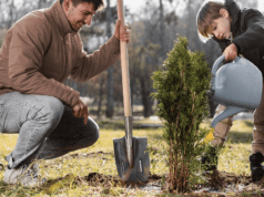 Des enfants sèment l’avenir en plantant des arbres en Dordogne