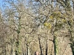 Le burn-out, une opportunité pour redonner du sens à sa vie ? Épuisement professionnel burn-out témoignage