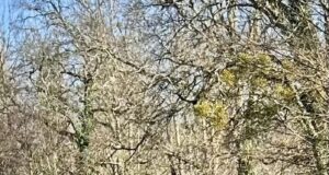 Le burn-out, une opportunité pour redonner du sens à sa vie ? Épuisement professionnel burn-out témoignage