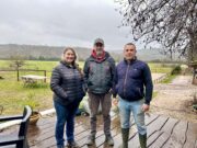 L’équicoaching, une relation de cœur à cœur avec le cheval Équicoaching développement personnel