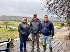 L’équicoaching, une relation de cœur à cœur avec le cheval Équicoaching développement personnel