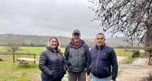 L’équicoaching, une relation de cœur à cœur avec le cheval Équicoaching développement personnel