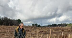 Bois de l’Esper : une aventure écologique et collective