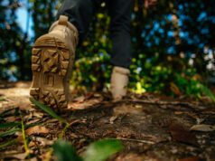 Dans le grand bain de la forêt