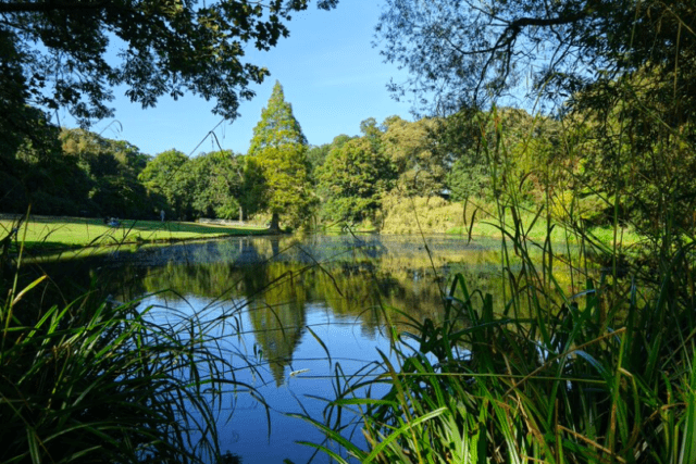 Capture d’écran 2024-03-14 à 12.42.37