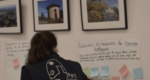 Intelligence collective pour Parc en mouvement