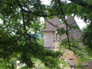 Allons O Jardin, éclosion d’une appli