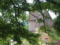 Allons O Jardin, éclosion d’une appli