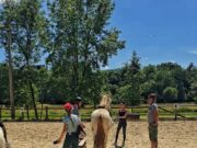 Le cheval se moque des différences