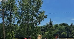 Le cheval se moque des différences