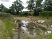 Une trame de vert et de bleu