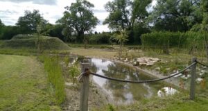 Une trame de vert et de bleu