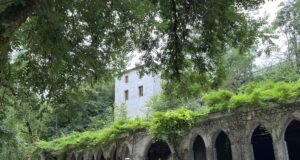 Le Bimbillou Parc, une histoire d’héritage