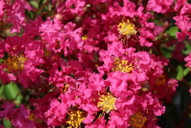 Lagers Bergerac n66 © Desmartis