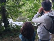 Tendre l’oreille et s’entraîner à écouter