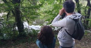 Tendre l’oreille et s’entraîner à écouter