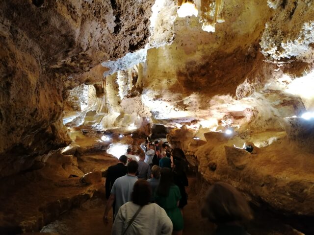 Maxange visite