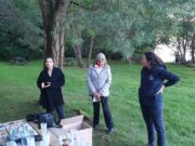 Les chauves-souris à l’épreuve de la pollution lumineuse