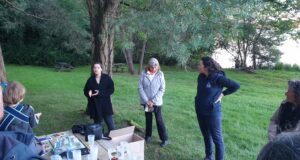 Les chauves-souris à l’épreuve de la pollution lumineuse