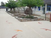 Côté cour, la magie fait école