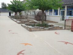 Côté cour, la magie fait école