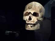 Cro-Magnon, le plus célèbre Périgordin