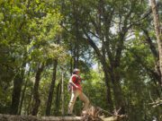 Parc attitude : limiter son empreinte environnementale