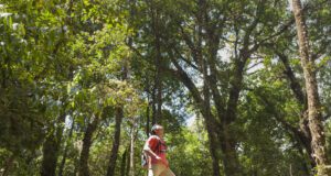 Parc attitude : limiter son empreinte environnementale