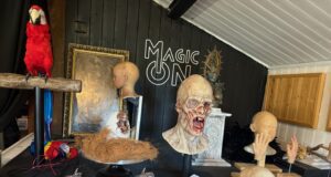 Magic On : du réel au virtuel