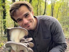 La magie secrète des champignons