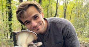 La magie secrète des champignons