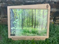 Des Sylvotrophées pour une gestion équilibrée de la forêt