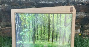 Des Sylvotrophées pour une gestion équilibrée de la forêt